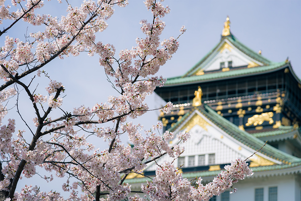 思い出のお花を使用したクラシカルモダンウェディング