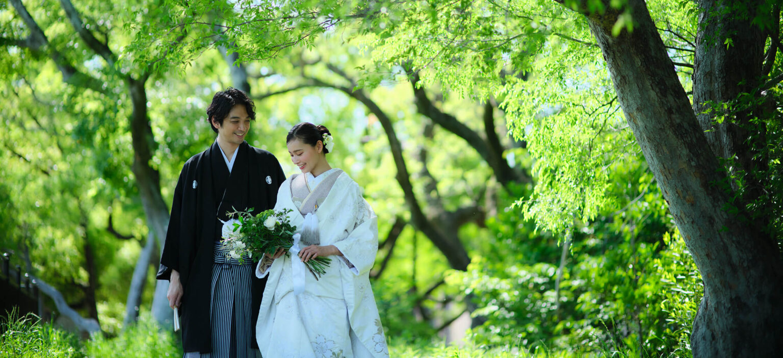 >相談会のご予約